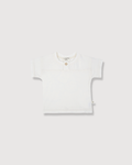 1+ IN THE FAMILY | t-shirt serafino