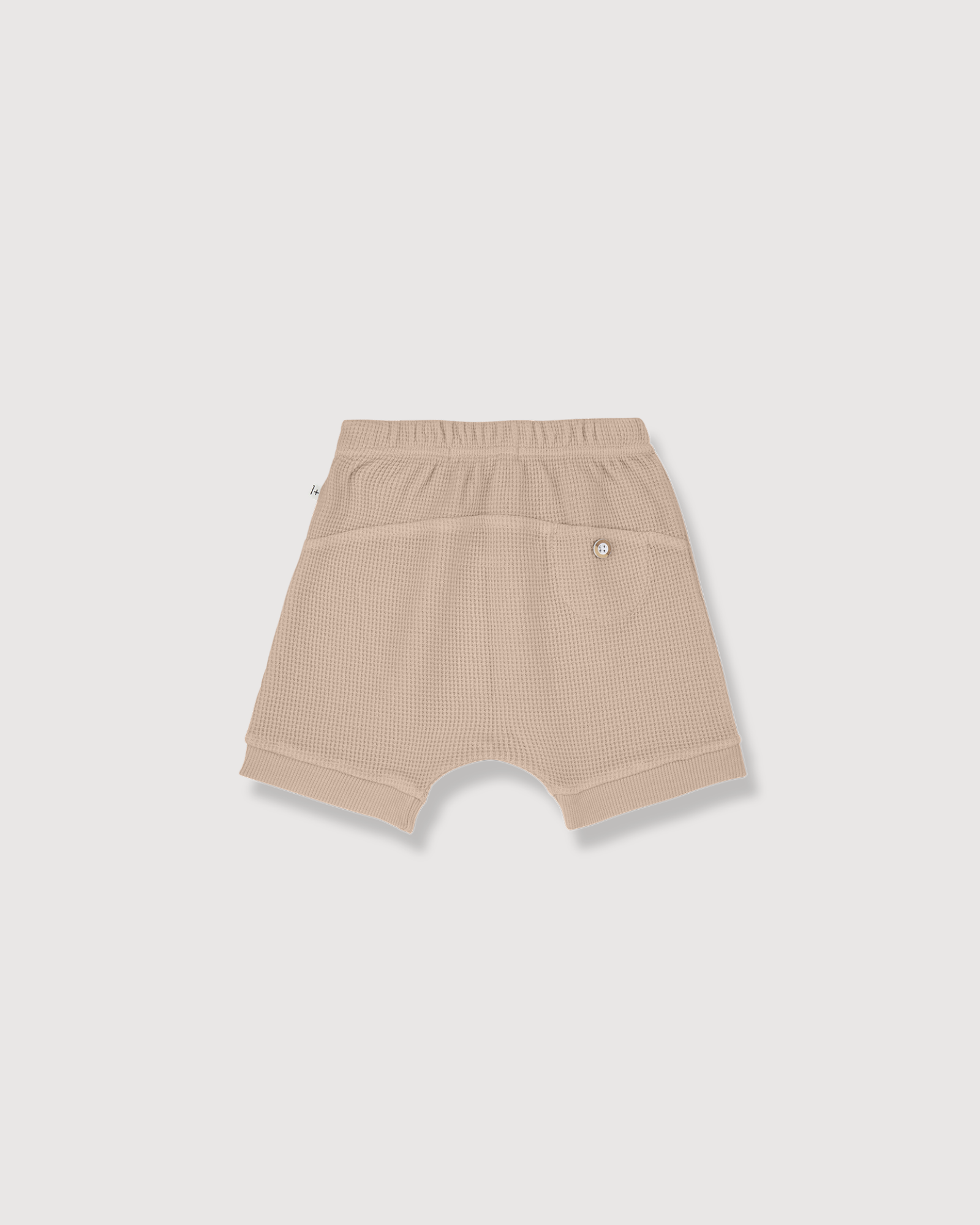 1+ IN THE FAMILY | pantaloncini