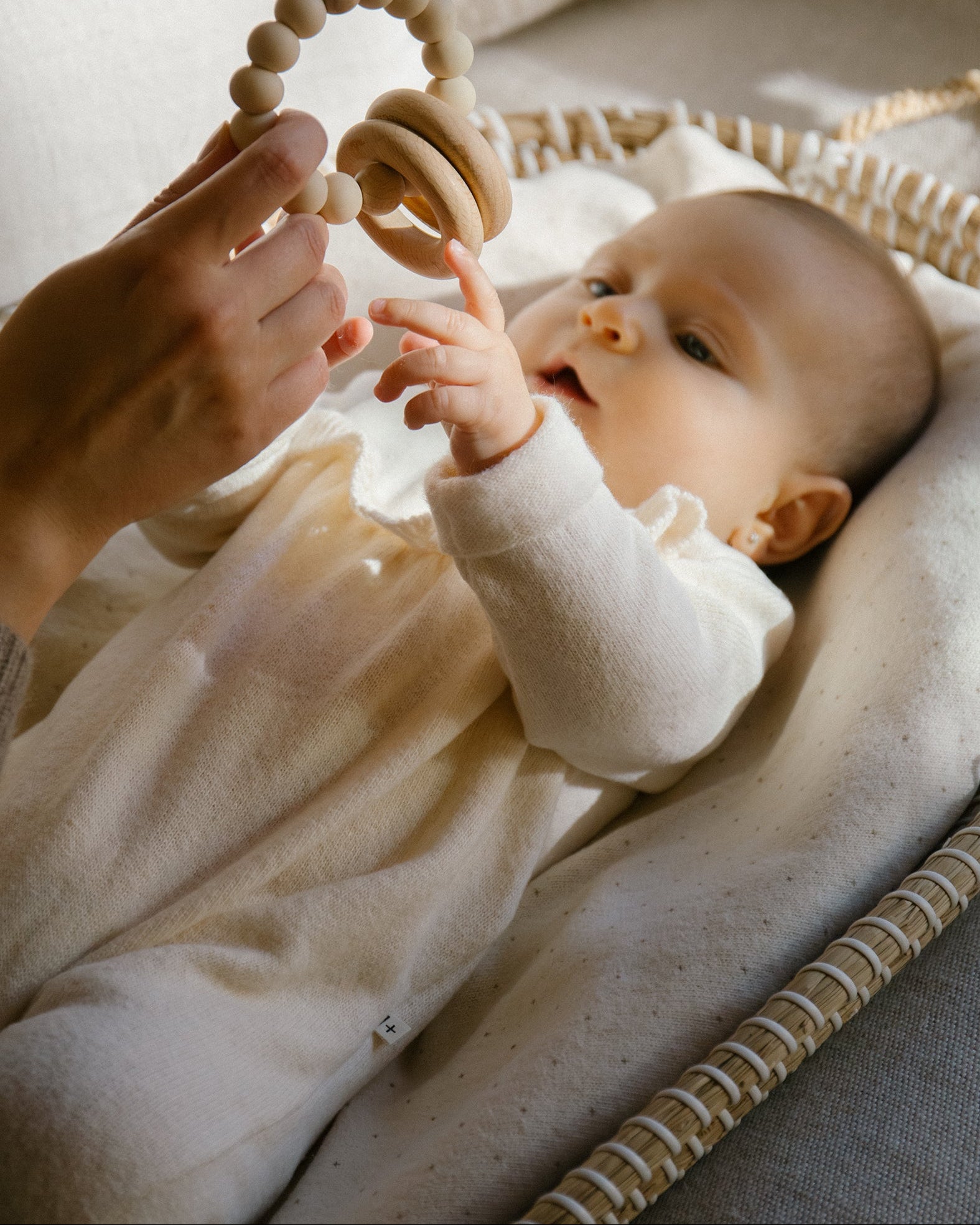 1+ IN THE FAMILY | tutina ruches