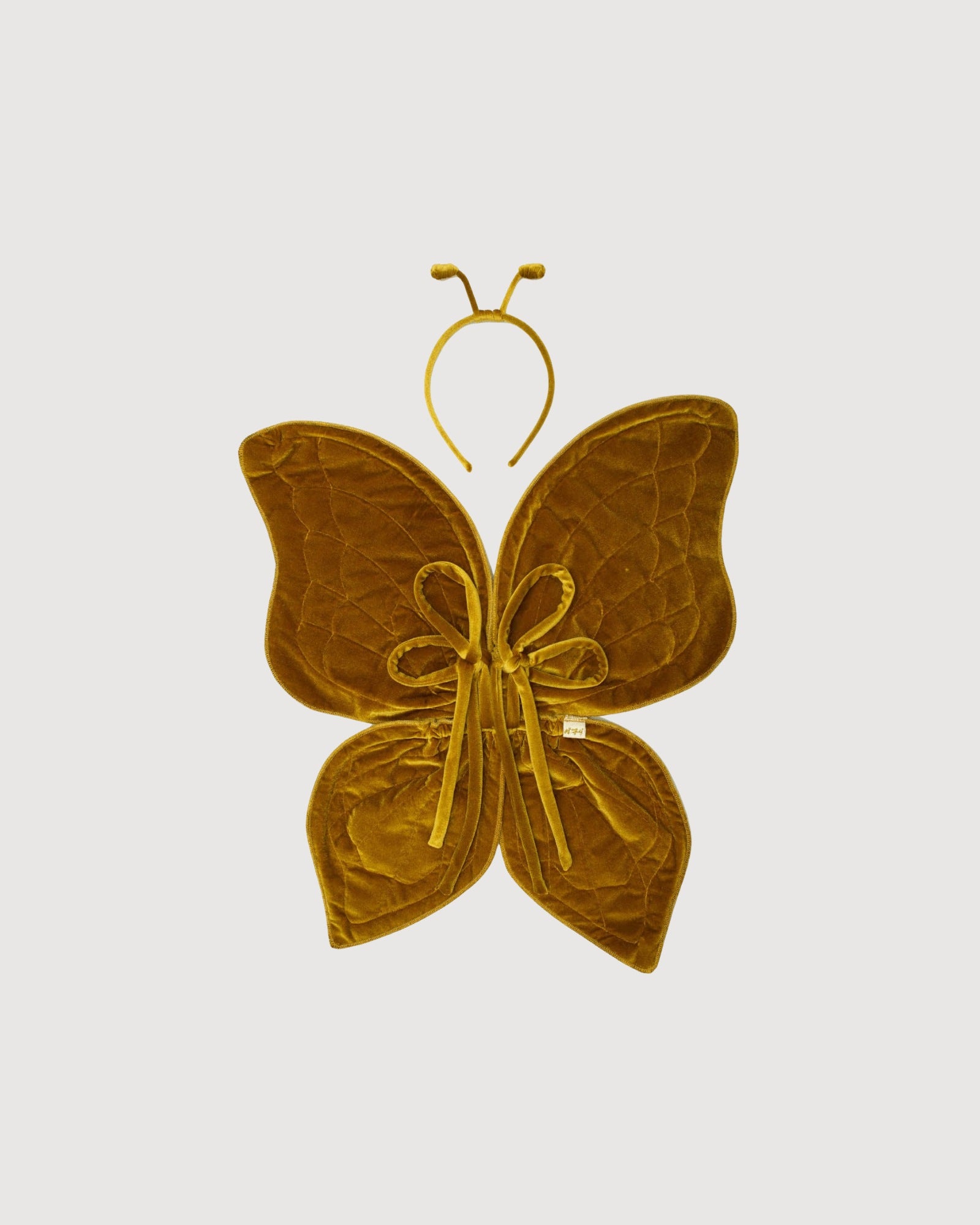 NUMERO 74 | ali farfalla