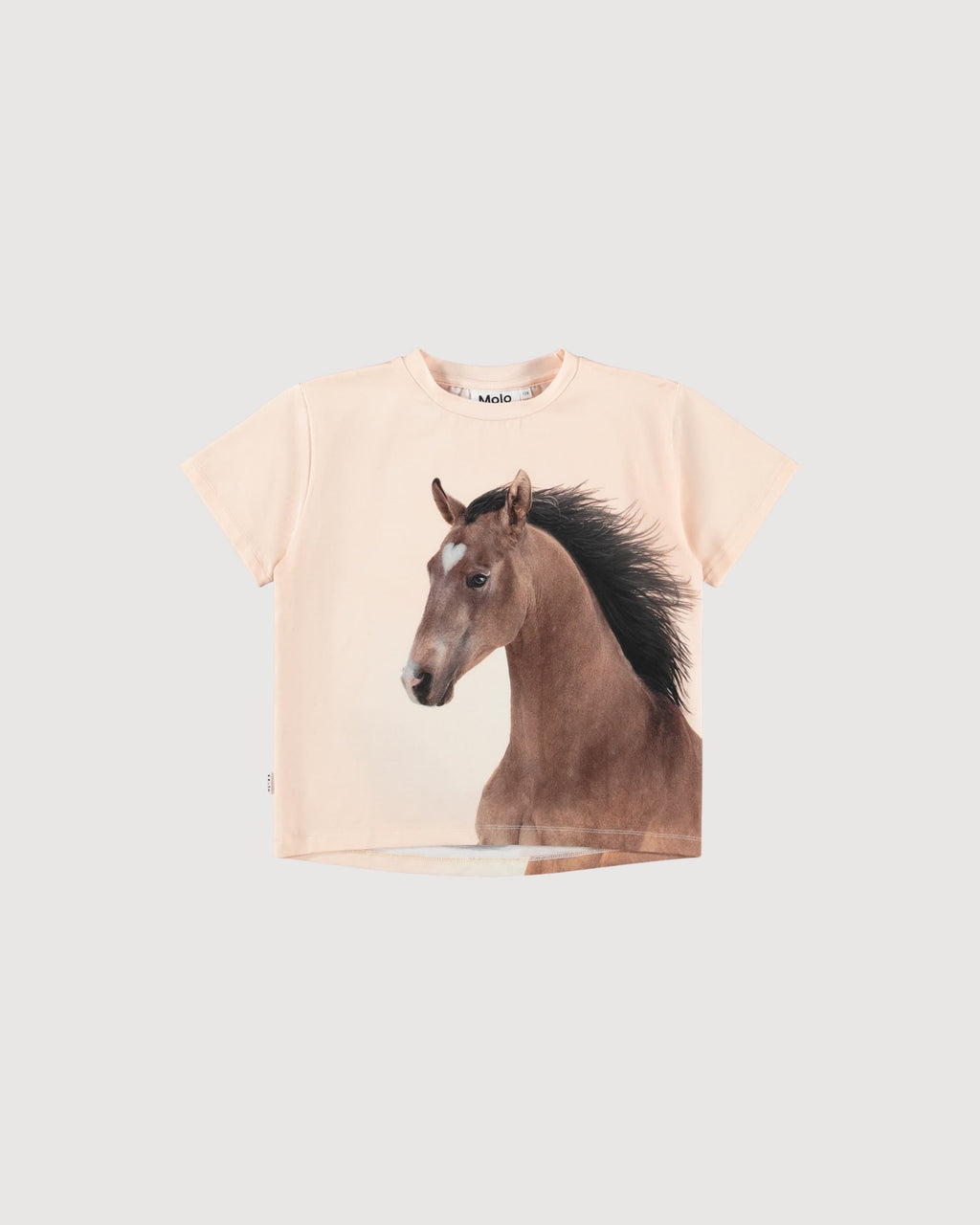MOLO| t-shirt con stampa