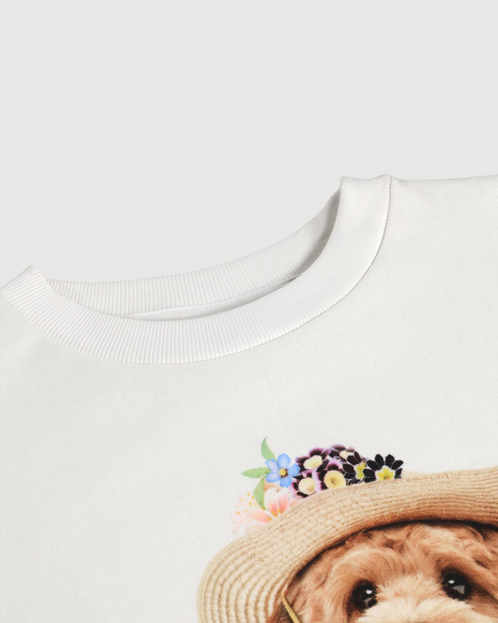 MOLO | felpa con stampa