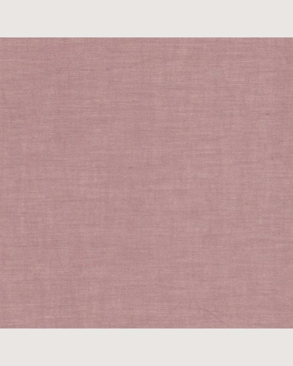 NUMERO 74 | lanterna stella