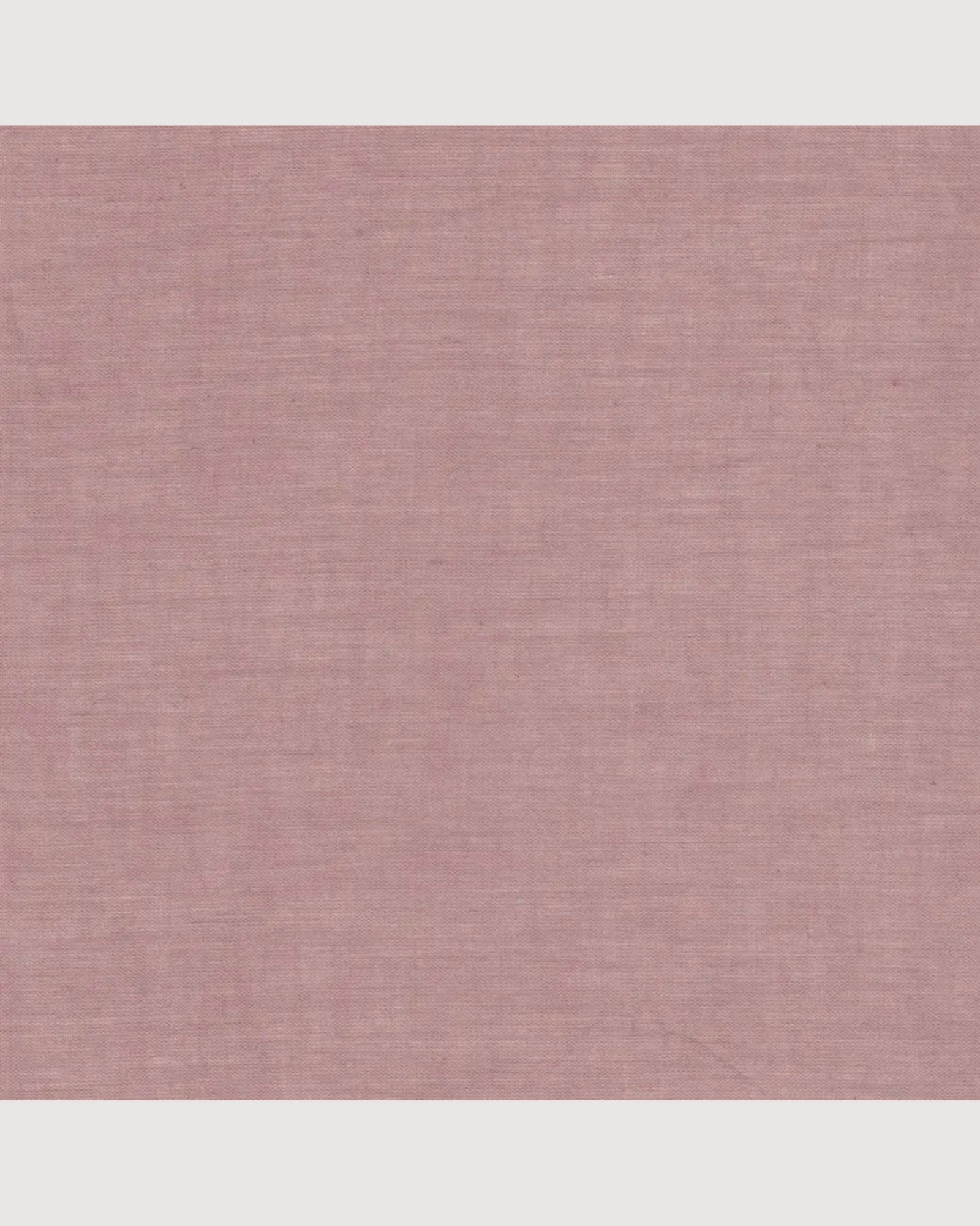NUMERO 74 | lanterna stella