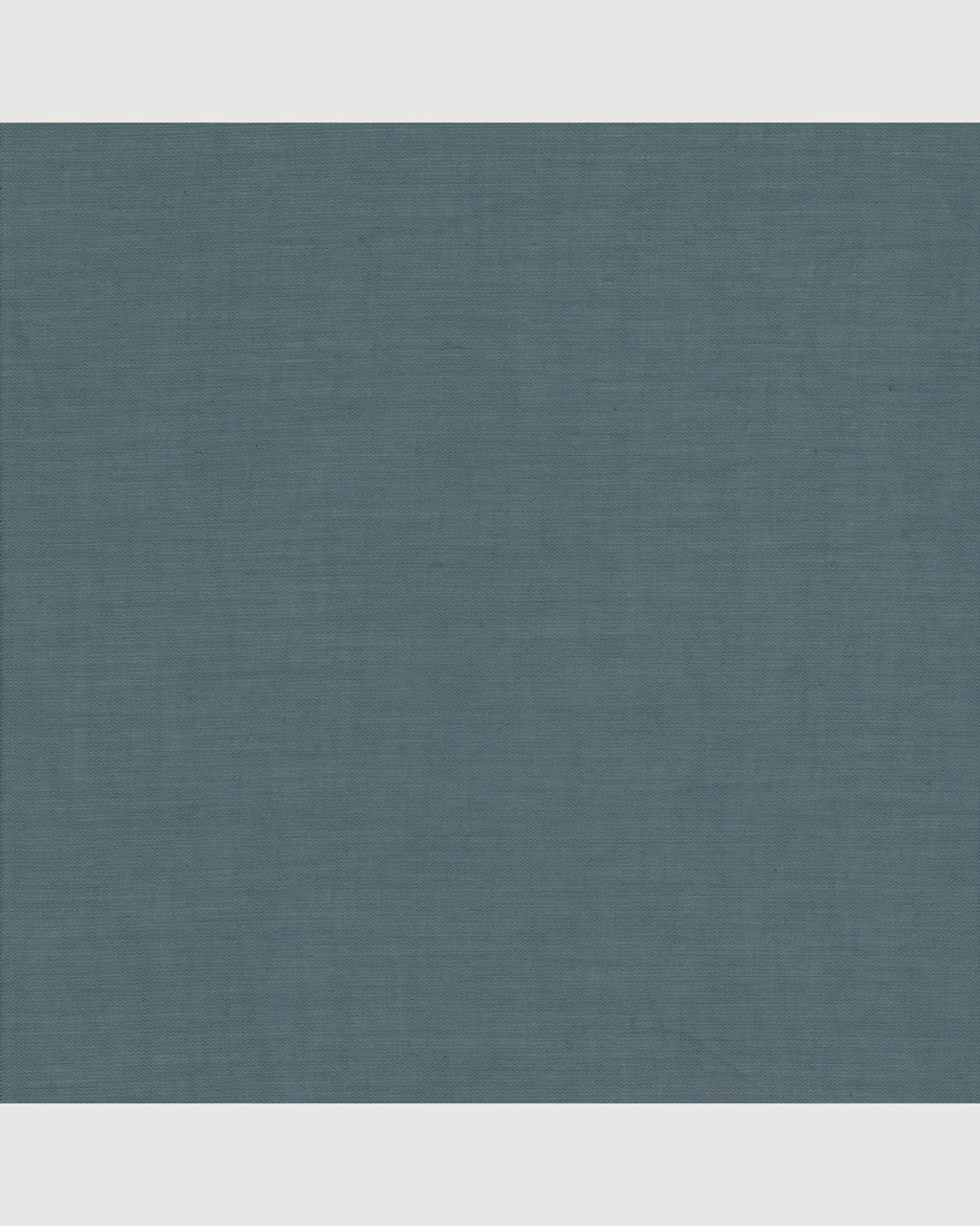 NUMERO 74 | lanterna stella