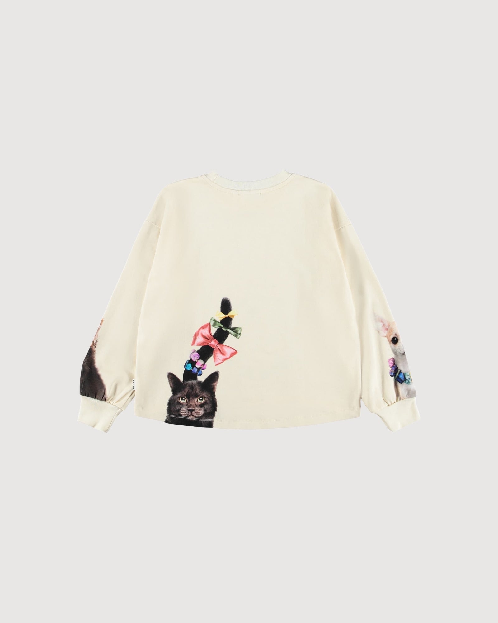 MOLO| t-shirt stampa