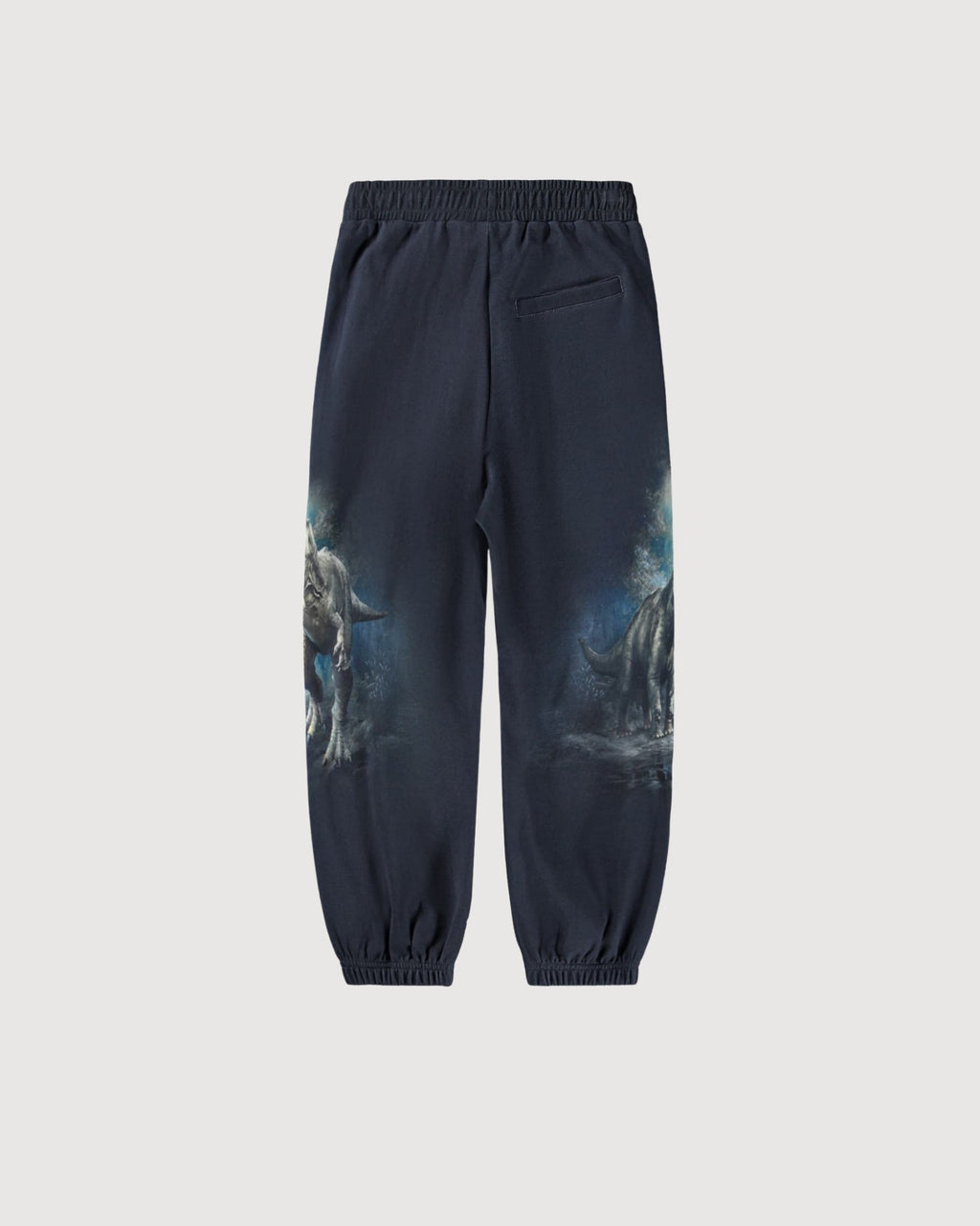 MOLO| jogger stampa