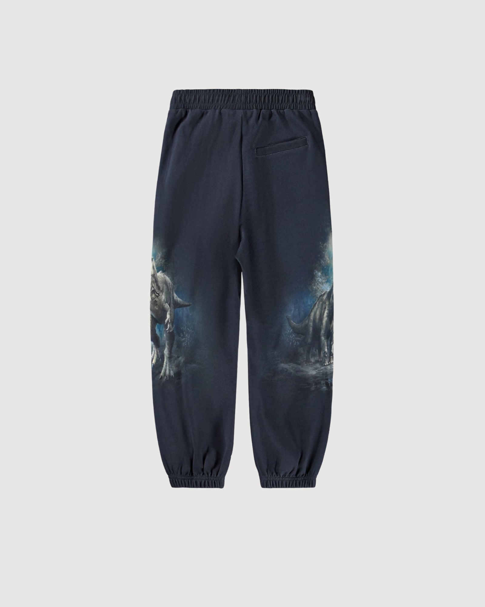 MOLO| jogger stampa
