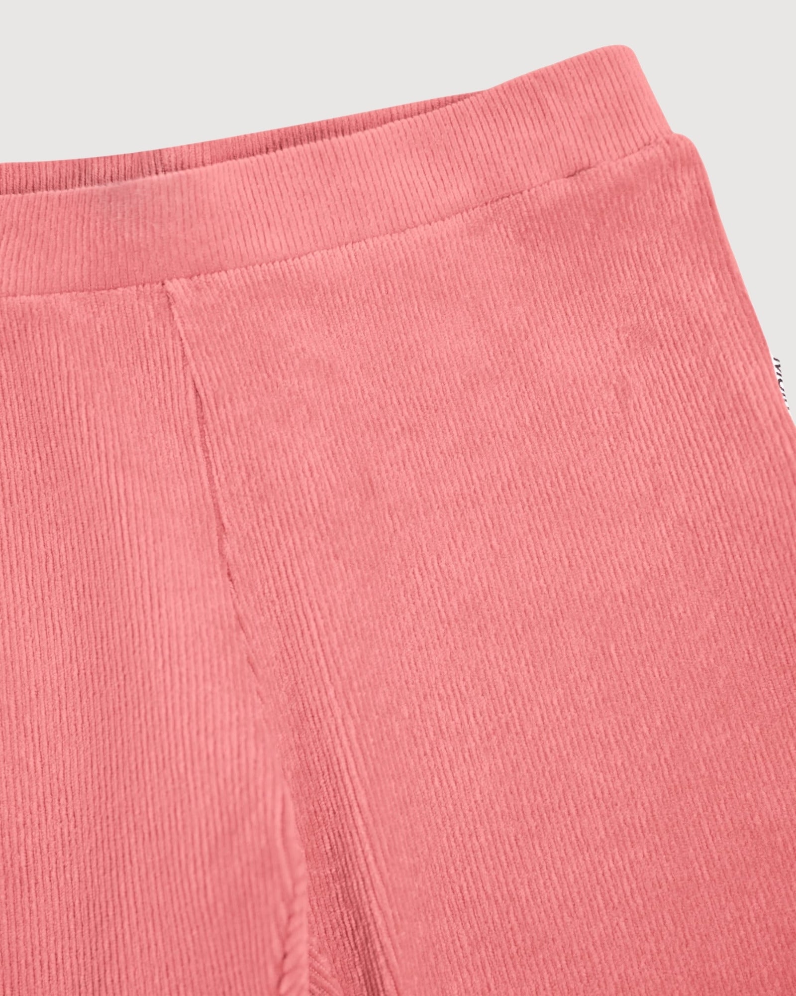 MOLO| leggings a zampa