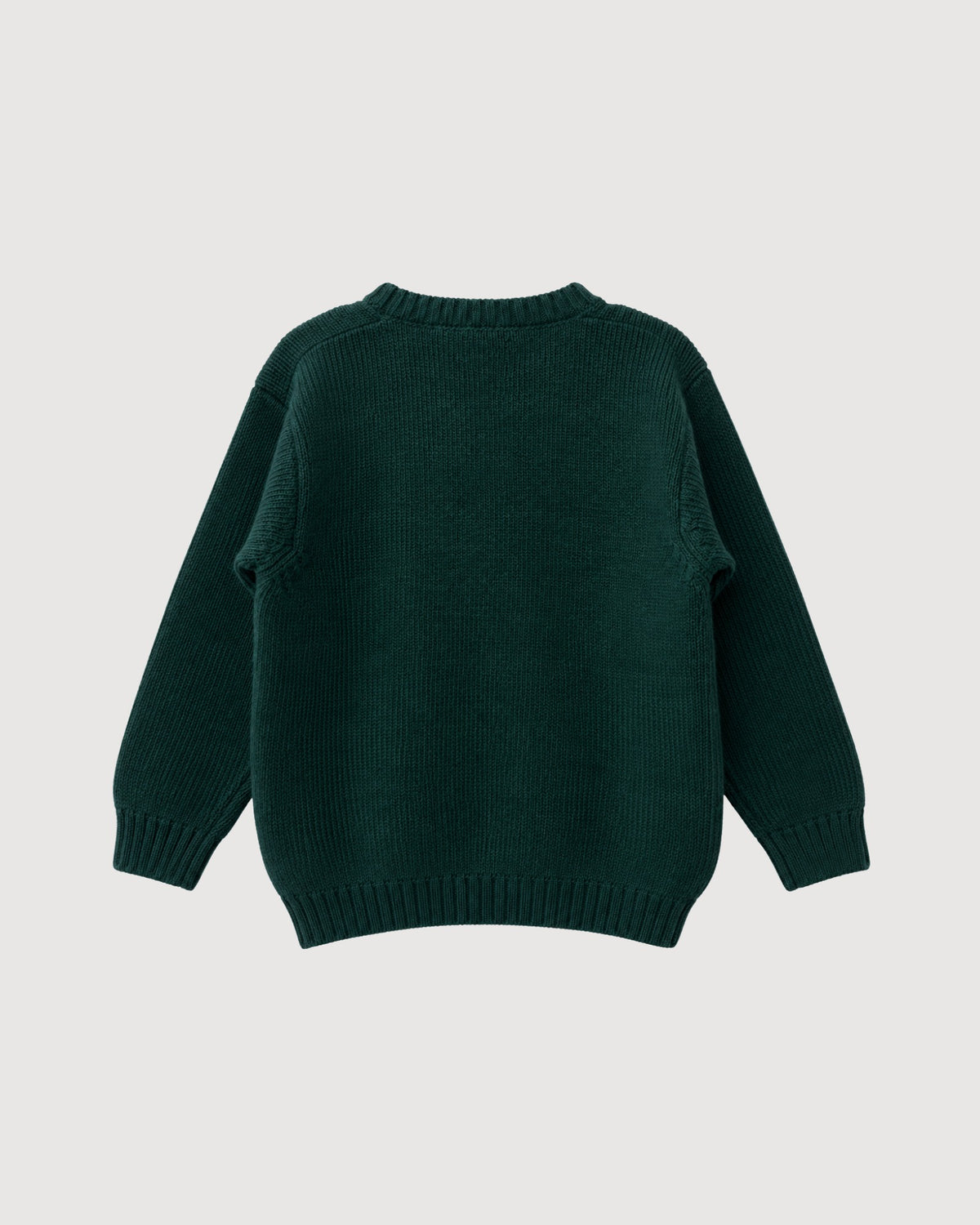 RAGAZZINI | maglione girocollo lana merino
